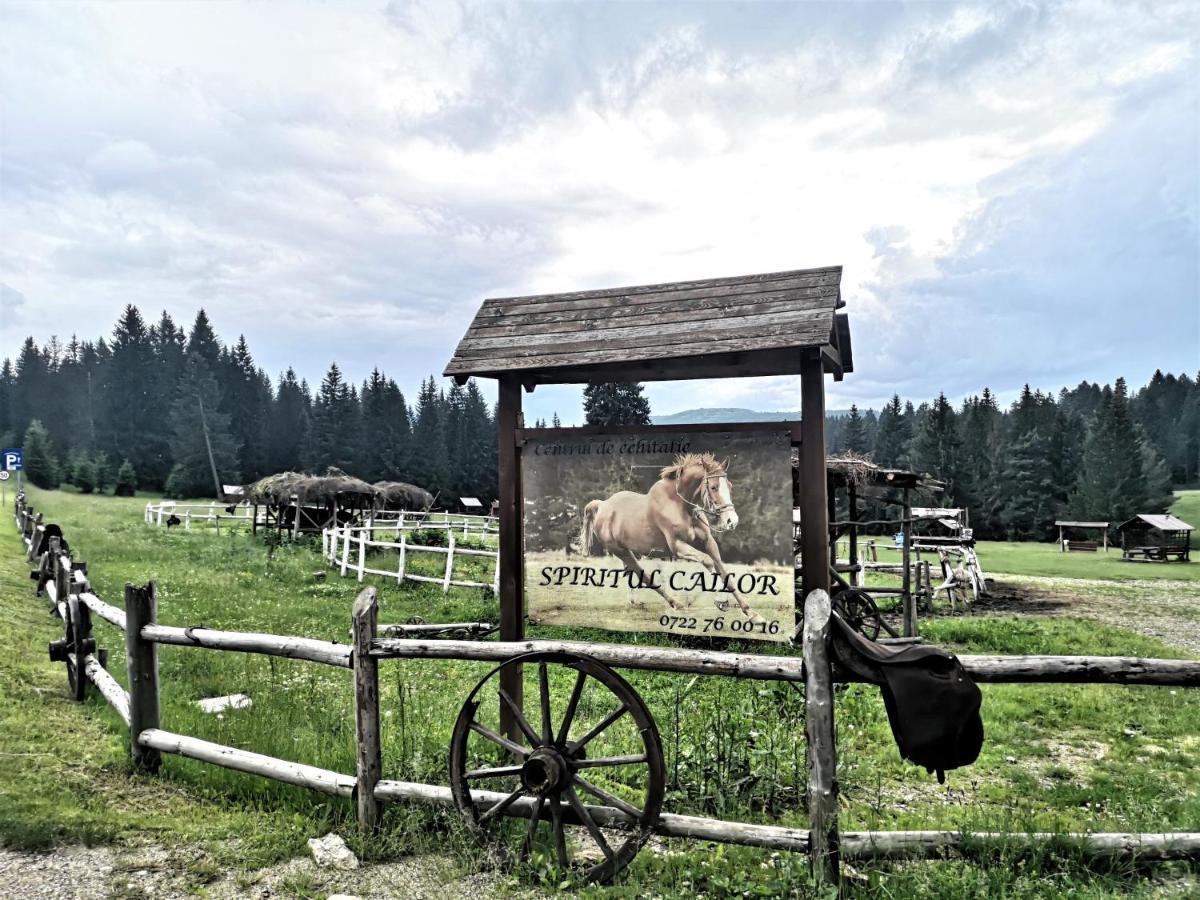 The Evergreen Nest - Silver Mountain Poiana Brasov Bagian luar foto