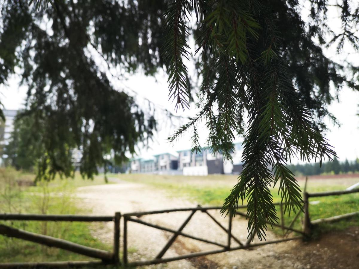 The Evergreen Nest - Silver Mountain Poiana Brasov Bagian luar foto