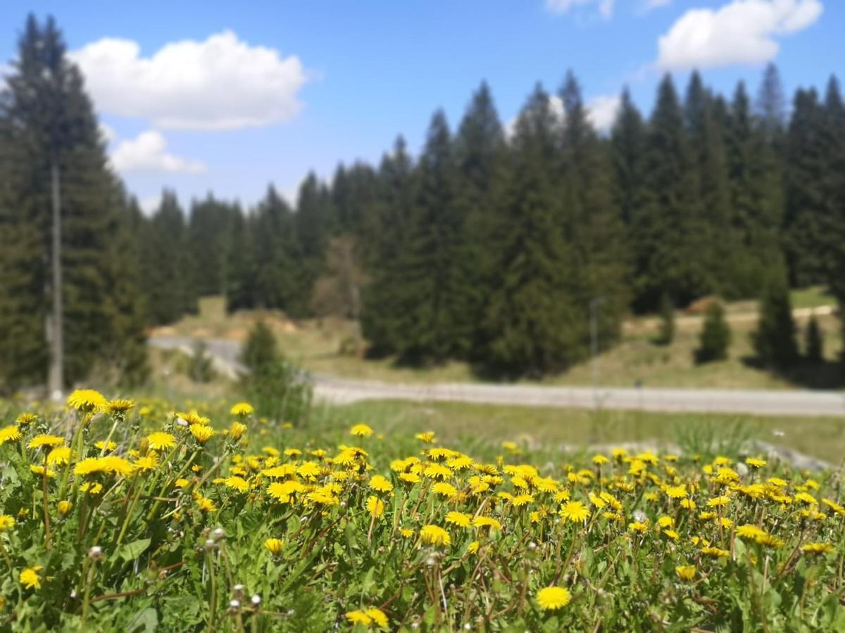 The Evergreen Nest - Silver Mountain Poiana Brasov Bagian luar foto