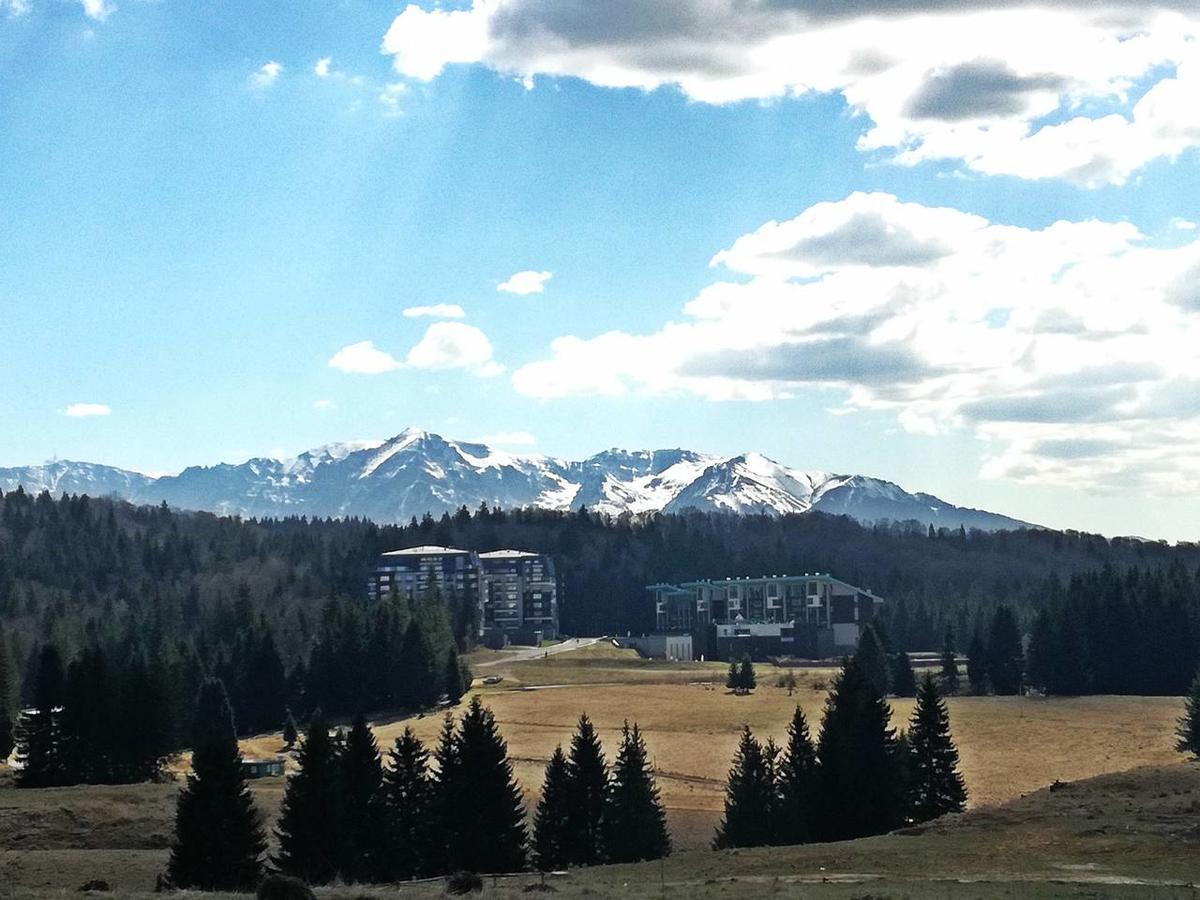 The Evergreen Nest - Silver Mountain Poiana Brasov Bagian luar foto